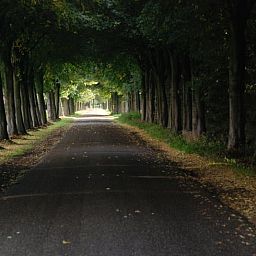 Unterkunft 353601 - Ferienhaus Zuidoost Groningen - Vakantiehuisje in Vledderveen