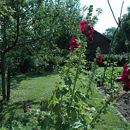 Huisje in Zevenhuizen, groene tuin met bloemen rondom vakantiehuis in Zuidwest Groningen, Groningen.