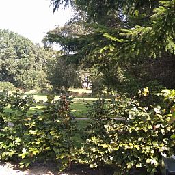 Groene omgeving bij Huisje in Marum, vakantiehuis in Zuidwest Groningen, met weelderige natuur en serene uitzichten.