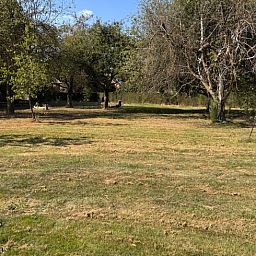 Ruhiger Garten im Ferienhaus in Weert, Mittellimburg, umgeben von Baeumen und Gruen.