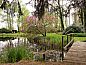 Guest house 371305 • Holiday property Midden Limburg • Vakantiehuisje in Nederweert  • 5 of 23