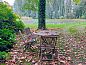 Guest house 371305 • Holiday property Midden Limburg • Vakantiehuisje in Nederweert  • 6 of 23
