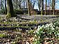 Guest house 371305 • Holiday property Midden Limburg • Vakantiehuisje in Nederweert  • 13 of 23