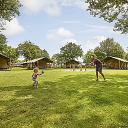Unterkunft 372414 - Zelthaus Midden Limburg - Safari Tent