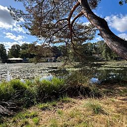 Vacation home in Stramproy in Central Limburg overlooking serene pond and natural surroundings.