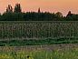 Guest house 374003 • Holiday property Midden Limburg • Huisje in Grathem  • 3 of 26