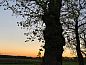 Guest house 374003 • Holiday property Midden Limburg • Huisje in Grathem  • 5 of 26
