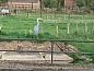 Guest house 374003 • Holiday property Midden Limburg • Huisje in Grathem  • 7 of 26