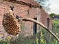 Guest house 374003 • Holiday property Midden Limburg • Huisje in Grathem  • 8 of 26
