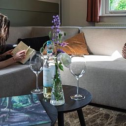 Unterkunft 380308 - Ferienhaus Noord Limburg - Huisje in Plasmolen