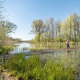 Unterkunft 382611 - Ferienhaus Noord Limburg - Vakantiehuisje in Blitterswijck