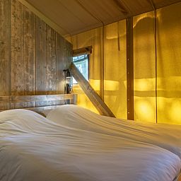 Unterkunft 3827126 - Zelthaus Noord Limburg - «Klein Vink 20»
