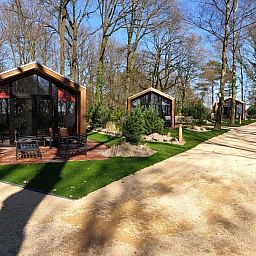 Unterkunft 383691 - Ferienhaus Noord Limburg - Forest