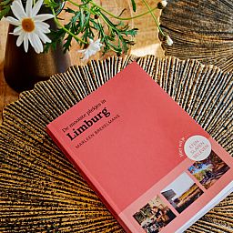 Unterkunft 383931 - Ferienhaus Noord Limburg - Huisje in Baarlo