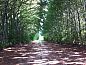 Guest house 384110 • Holiday property Noord Limburg • Vakantiehuis in Grubbenvorst  • 13 of 26