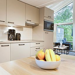 Moderne keuken in De Lommerbergen 4-persoons bungalow in Reuver, Noord Limburg, met uitzicht op terras en natuurlijke omgeving.