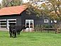Unterkunft 385608 • Ferienhaus Noord Limburg • Vakantiehuisje in Baexem  • 2 von 15