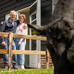 Guest house 385614 - Holiday property Noord Limburg - Huisje Met de kippen Op Stok/Sierkip