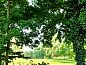 Guest house 385626 • Holiday property Noord Limburg • Vakantiehuisje in Baexem  • 6 of 24