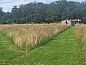 Verblijf 385806 • Chalet Noord Limburg • Vakantiehuis in Heythuysen  • 3 van 24
