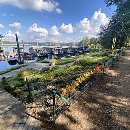 Unterkunft 386131 - Ferienhaus Noord Limburg - Houseboat Marina Mookerplas