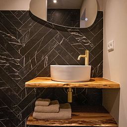 Stijlvolle badkamer in Vakantiehuis in Griendtsveen, Noord Limburg, met moderne wastafel en houten details, ideaal voor een ontspannen verblijf.