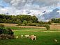 Guest house 390564 • Holiday property Zuid Limburg • Comfortabele 2 persoons vakwerkwoning in het prachtige  • 12 of 20
