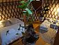 Guest house 390816 • Holiday property Zuid Limburg • Huisje in Valkenburg  • 12 of 13