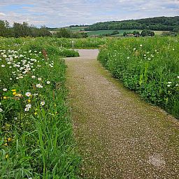 Unterkunft 3909147 - Ferienhaus Zuid Limburg - Geschakelde woning in Gulpen