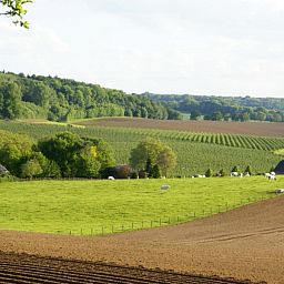 Guest house 391101 - Holiday property Zuid Limburg - Domein Hellebeuk