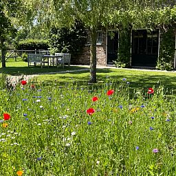 Bloeiende tuin bij Huisje in Slenaken vakantiehuis in Zuid Limburg.