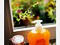 Guest house 391619 • Holiday property Zuid Limburg • Huisje in Epen  • 8 of 26