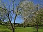 Guest house 391714 • Holiday property Zuid Limburg • Vakantiehuis in Vijlen (Vaals)  • 4 of 26