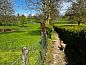 Guest house 392204 • Holiday property Zuid Limburg • Huisje in Banholt  • 11 of 26