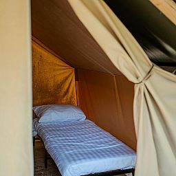 Unterkunft 392806 - Zelthaus Zuid Limburg - Safari Trekkerstent