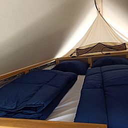 Unterkunft 395925 - Zelthaus Zuid Limburg - Papillio