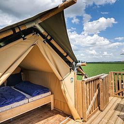 Unterkunft 396908 - Zelthaus Zuid Limburg - Glampingtent 2p