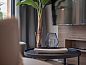Guest house 400212 • Chalet De Peel • Tiny House 2  • 2 of 8