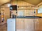 Guest house 400231 • Tent house De Peel • Safaritent 4  • 4 of 11