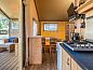 Guest house 400231 • Tent house De Peel • Safaritent 4  • 5 of 11