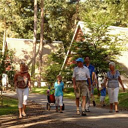 Guest house 400238 - Holiday property De Peel - «Bospark 't Wolfsven 10»