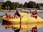 Guest house 400243 • Chalet De Peel • Bospark 't Wolfsven 15  • 9 of 26