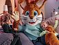 Guest house 400245 • Chalet De Peel • Bospark 't Wolfsven 17  • 14 of 26