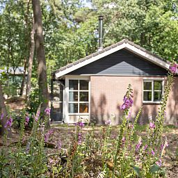 Verblijf 400316 - Vakantiewoning De Peel - Geschakelde woning in Vlierden