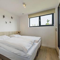 Guest house 400459 - Bungalow De Peel - 4-persoonslodge | 4B6