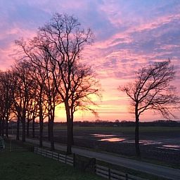 Atemberaubender Sonnenuntergang im Ferienhaus in Deurne, De Peel, Nordbrabant.