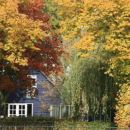 Herfstkleuren omringen Vakantiehuis in Budel, sfeervolle vakantiewoning in Kempen, Noord Brabant.