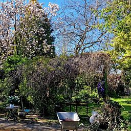 Weelderige tuin bij Vakantiehuis in Budel, omringd door natuur in Kempen, Noord Brabant.