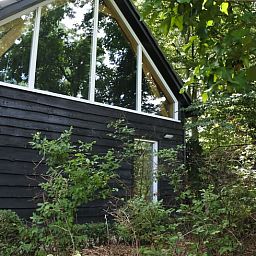 Bosrijke omgeving van Vakantiehuisje in Lage Mierde, een serene vakantiewoning in de Kempen, Noord Brabant.