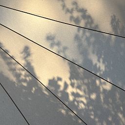 Unterkunft 410521 - Zelthaus Kempen - Bell tent